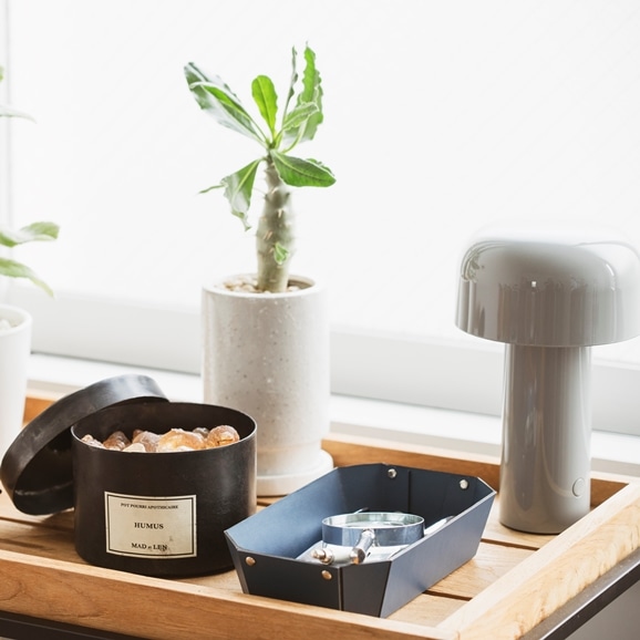 MAD et LEN POT VEGETAL AMBER LILI NEROLI｜ディフューザー｜IDEE