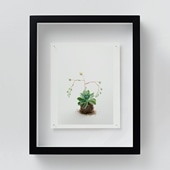 定番品】パブロ・ピカソ 「フクロウ」ブラックフレーム｜ポスター