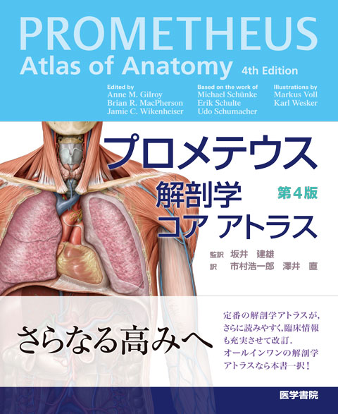 分冊解剖学アトラス 2 (内臓) 第5版 プロメテウス解剖学 コア アトラス 第3