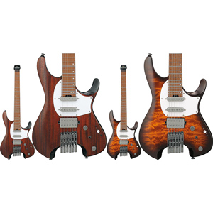 the GazettEのギタリスト、葵がメインで使用している .1[dot one]exl