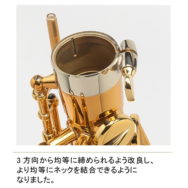 Selmer Paris アルトサックス セルマー Supreme シュプレーム DGL
