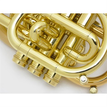 CAROL BRASS キャロルブラス / N7000 SATIN-BELL GB (Dizzy) 【Bb