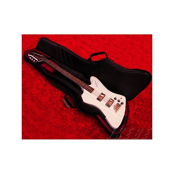 NAZCA 【受注生産品】 Protect Case [Thunderbird用/Black#8] ｜イケベ