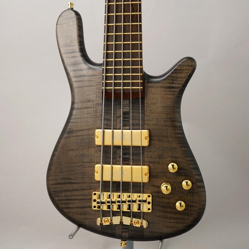 warwick custom shop streamer田中 野夫 Warwick custom shop Streamer