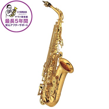 ✨アルトサックス antigua マークII AS3228美品2025年購入品✨ Antigua