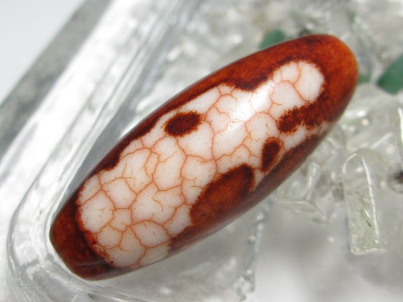 天珠5387△赤龍紋 太極天珠