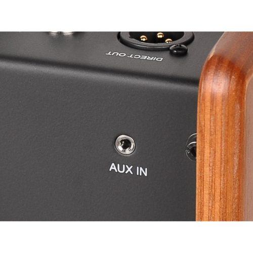 ACUS One For Street Wood 80W - ISCHELL ISCHELL