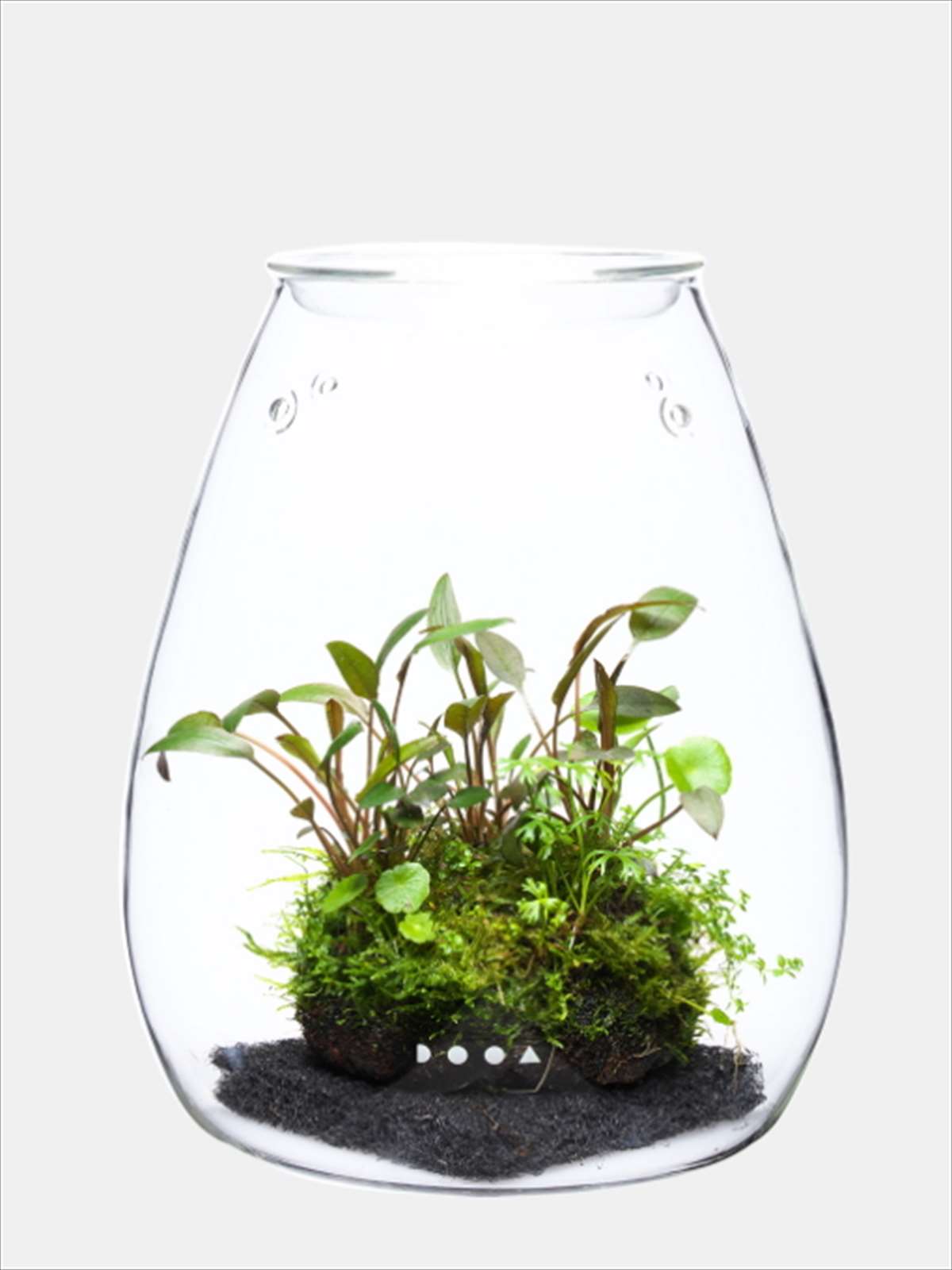 DOOA ガラスポット SHIZUKUの販売 (アクアマリン熊本)