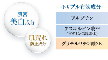 美肌パーフェクトセット（4品） | 薬用化粧品 フジナ エクセレント