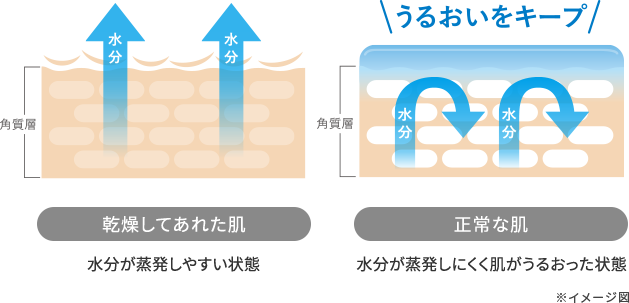美肌パーフェクトセット（4品） | 薬用化粧品 フジナ エクセレント