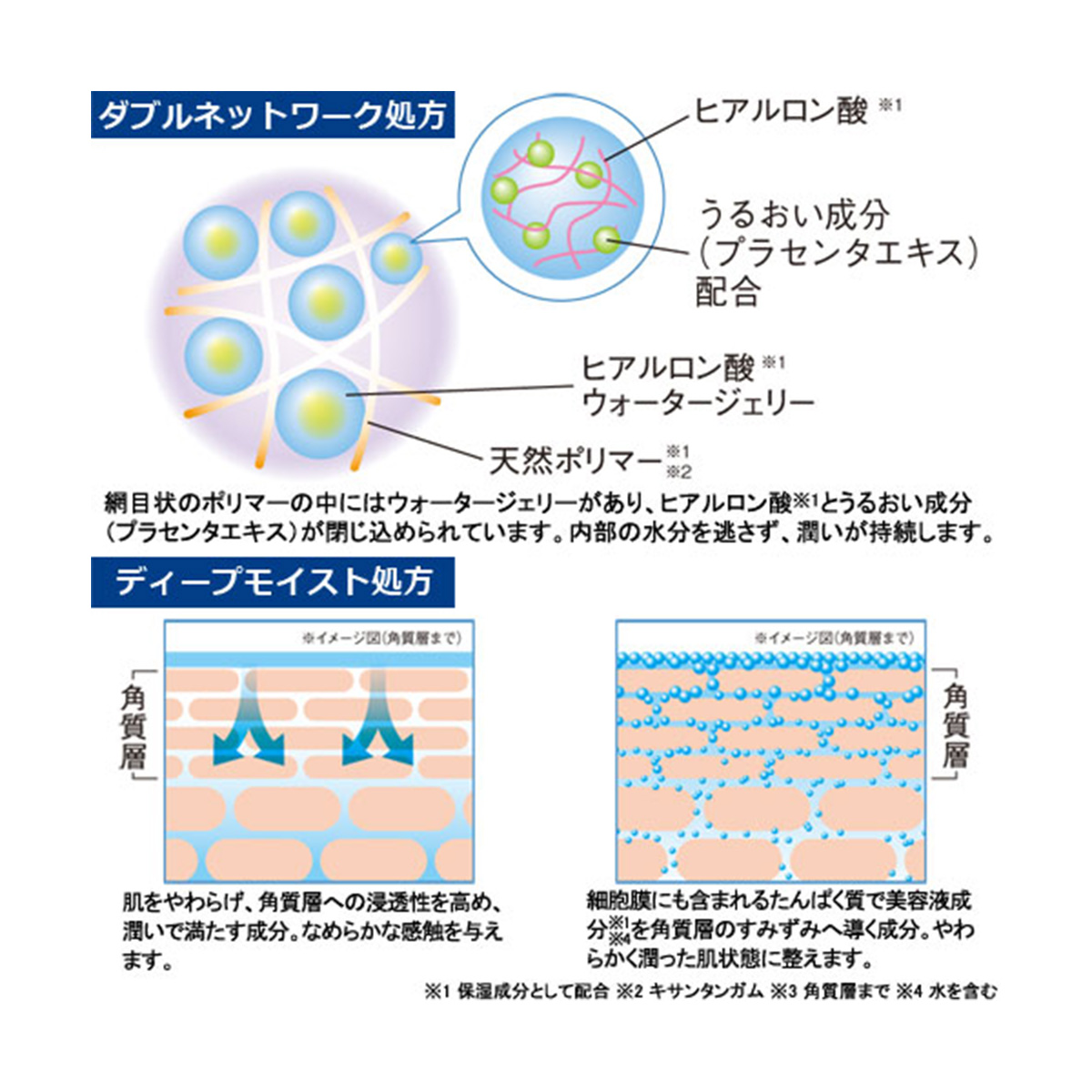 モイスチャーセット【保湿化粧水と保湿クリームのセット】