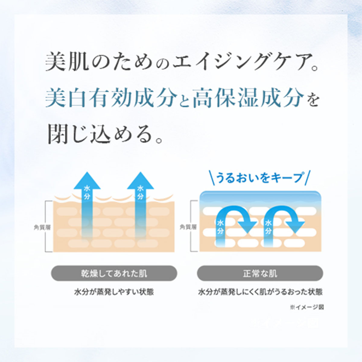 ABL★エクセレントクリーム ライオン靴クリーム本舗 エクセレントワックス | sai.online.shop
