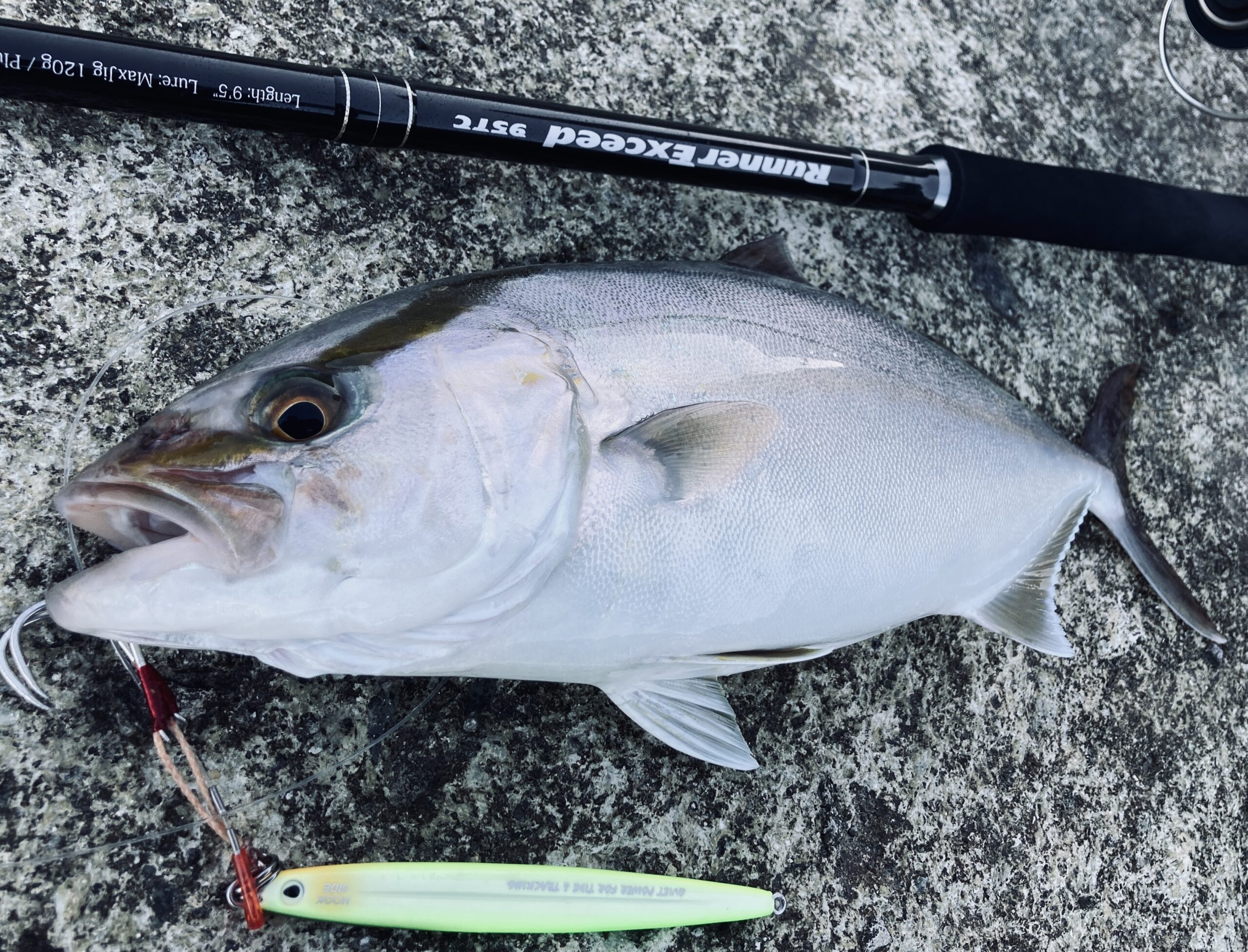 実釣インプレ】オーナー 撃投ジグレイドバック【使い方紹介】 | 磯釣り
