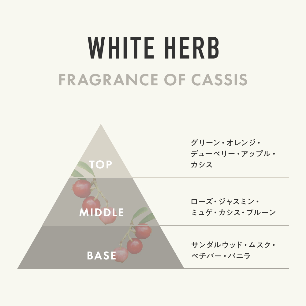 ジョイココ ボディスクラブ ホワイトハーブ