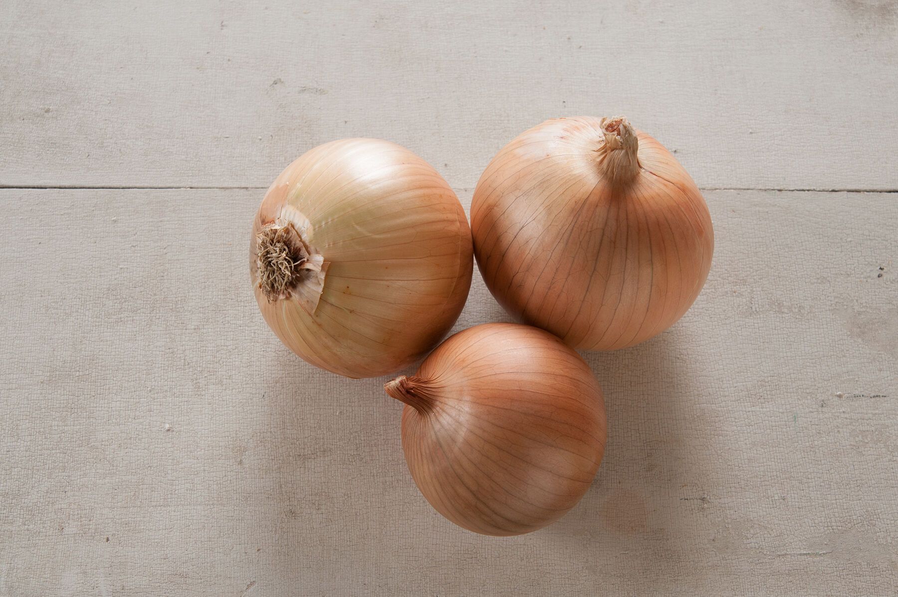 Scout - (F1) Onion Seed | Johnny's Selected Seeds