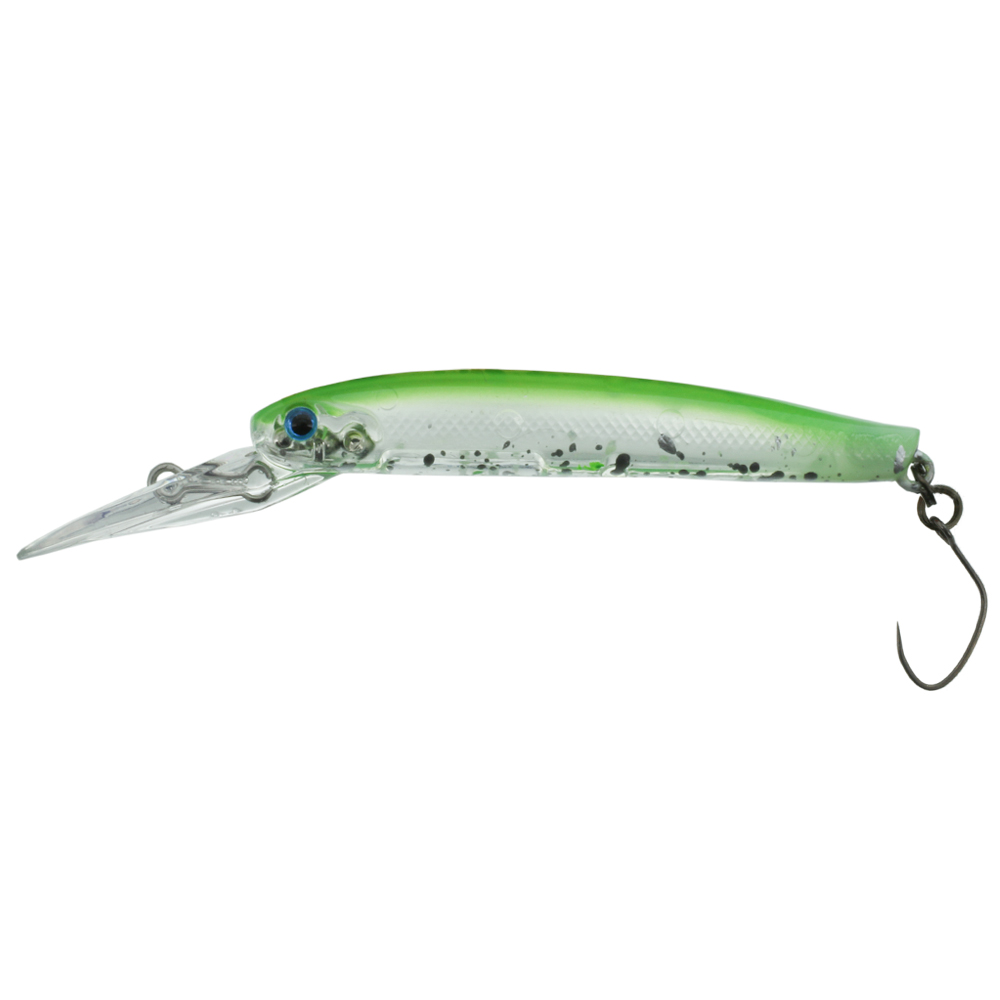 ジョインター別注カラー】DAYSPROUT ディスプラウト イーグル