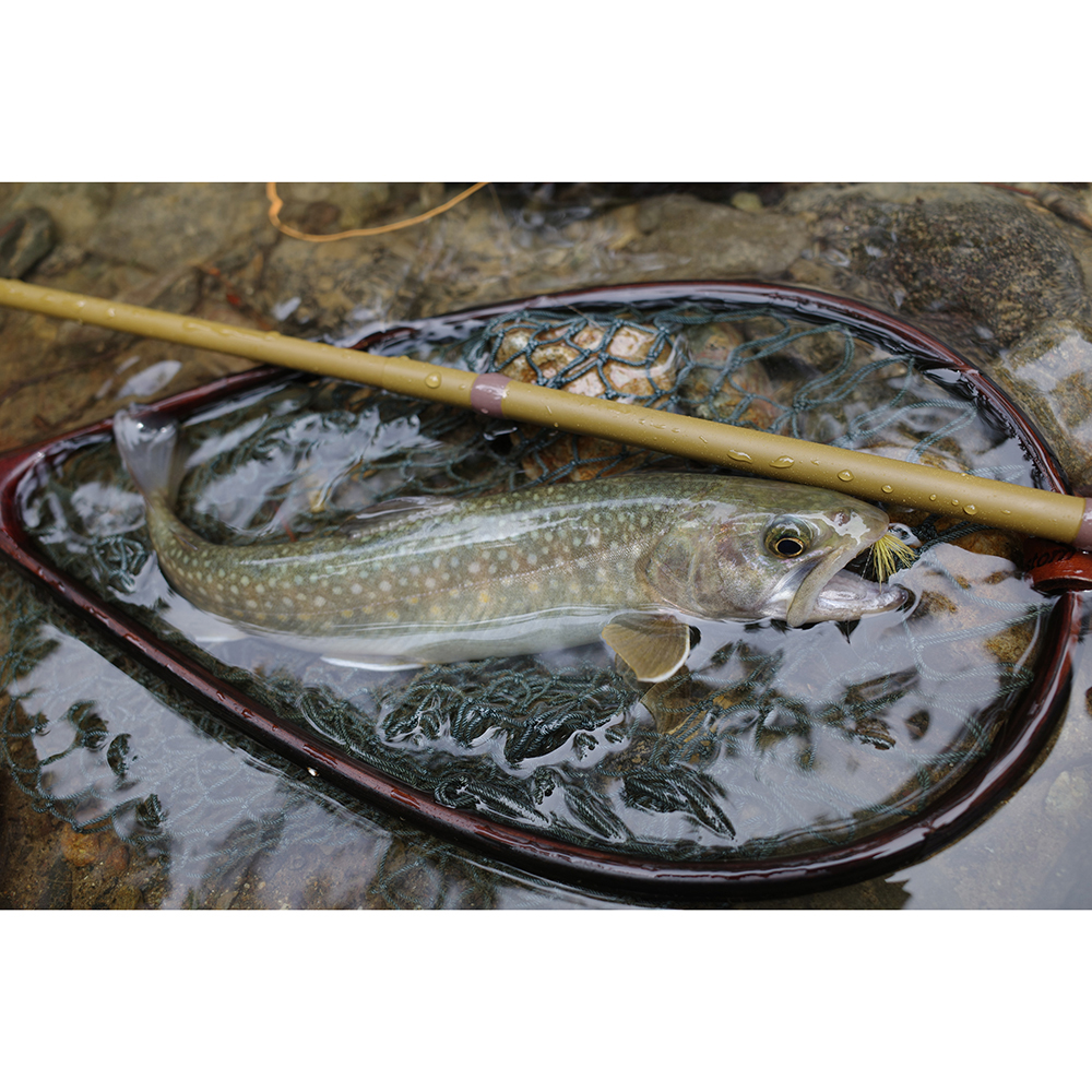 MOUN-TEN 30 マウンテン30 | つながろう、新しい「釣りの」世界へ