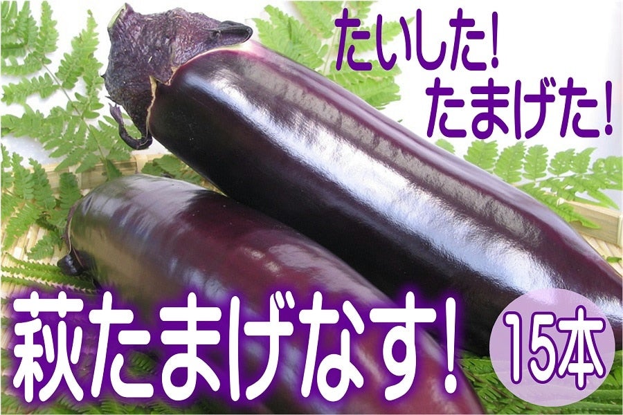たいした！たまげた！萩たまげなす！見た目も味もたまげます！【15本