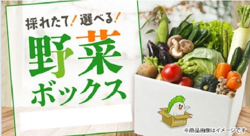 採れたて！～えらべる！野菜ボックス＜7品＞: 新鮮ぐんまみのり館