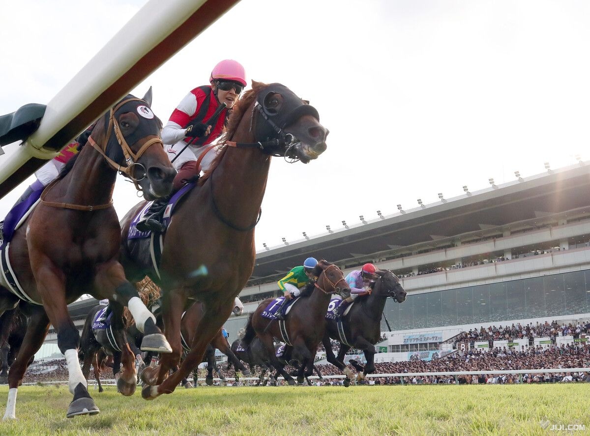 第59回スプリンターズS 三浦皇成J初G1制覇 ウインカーネリアン頑張れ