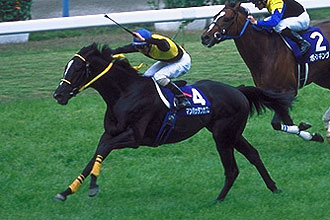 現地単勝マンハッタンカフェ 天皇賞春2002年100円 期限切れ単勝馬券