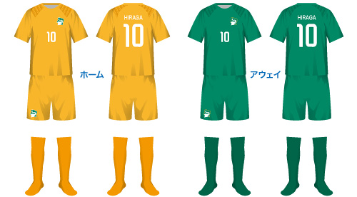 サッカーコートジボワール代表 | JS-Soccer