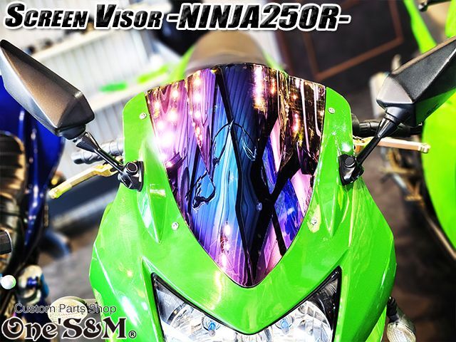 スクリーンバイザー フロントスクリーン NINJA250R JBK-EX250K ミラー