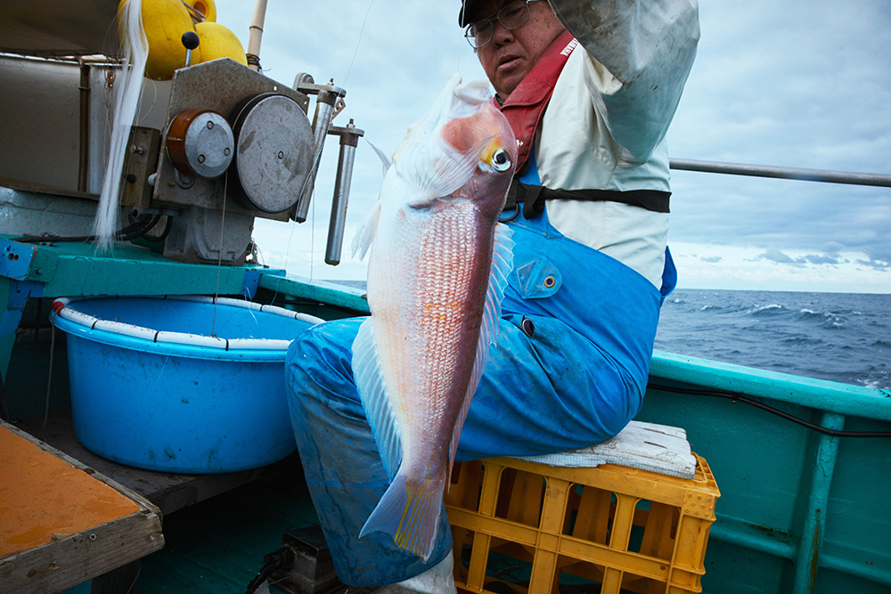 山口県下関での甘鯛漁で、熟練の技に触れる。 | ONESTORY