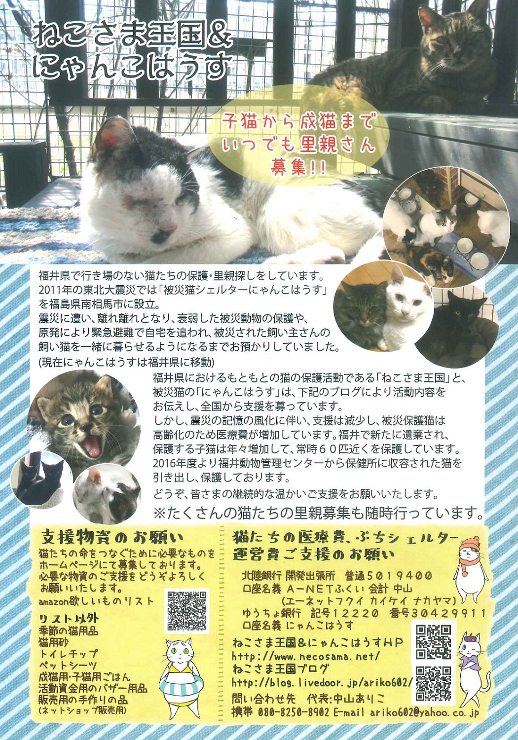 ねこさま王国さん「犬と猫の譲渡会」in えい坊館 | 福井ペット葬儀社