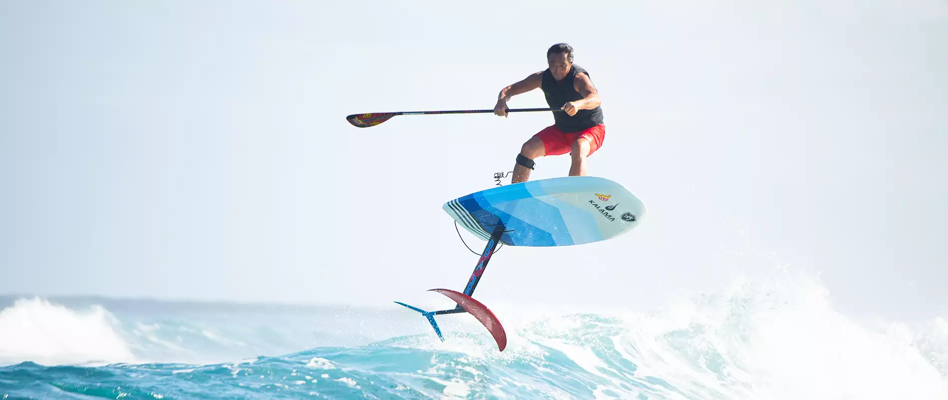湘南・江ノ島でSUP FOIL体験！｜日本海洋教育スポーツ振興協会