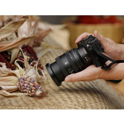 荻窪カメラのさくらや / ソニー FE 24-50mm F2.8 G[SEL2450G]【冬特価