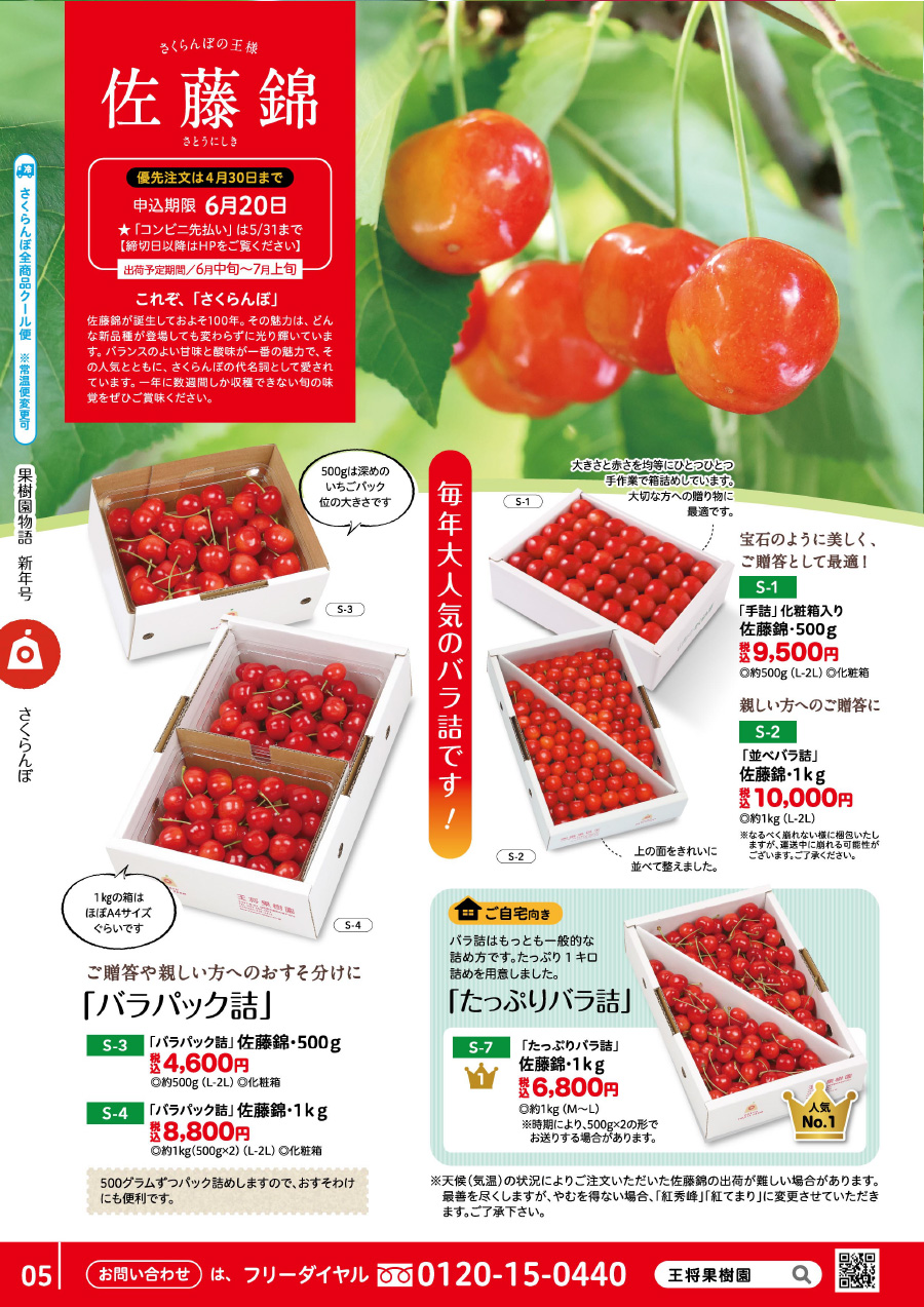 さくらんぼ 佐藤錦 王将果樹園 果物物語オンラインショップ