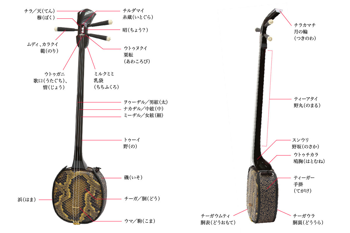3月4日はさんしんの日！沖縄の伝統楽器「三線」をご紹介！ | 沖縄観光