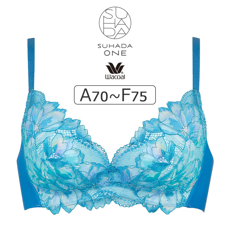 専用です！2枚のお値段です❗️ダイアナブラジャーf65 専用です！2枚