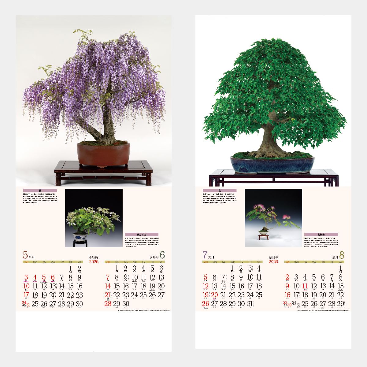 ND-115 銘樹(盆栽)2026年版の名入れカレンダーを格安で販売 - 名入れ
