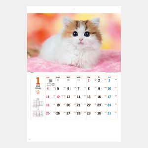 NK-455 サンキュー・キャット2026年版の名入れカレンダーを格安で販売