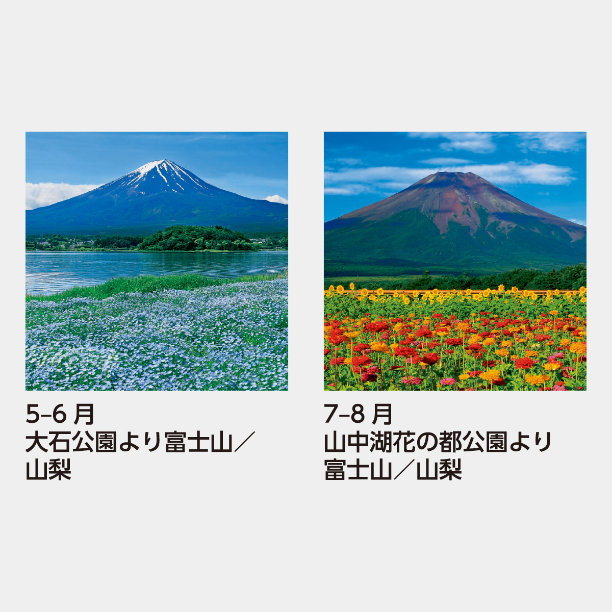 SB-250 【フィルム】富士山2026年版の名入れカレンダーを格安で販売