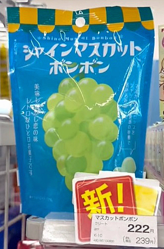 シャインマスカットボンボン | 福岡市博多区の不動産『ロケーションズ』