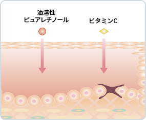 ラフォーレ ダイレクト パフォーマンス X｜公式サイト／ラフォーレ