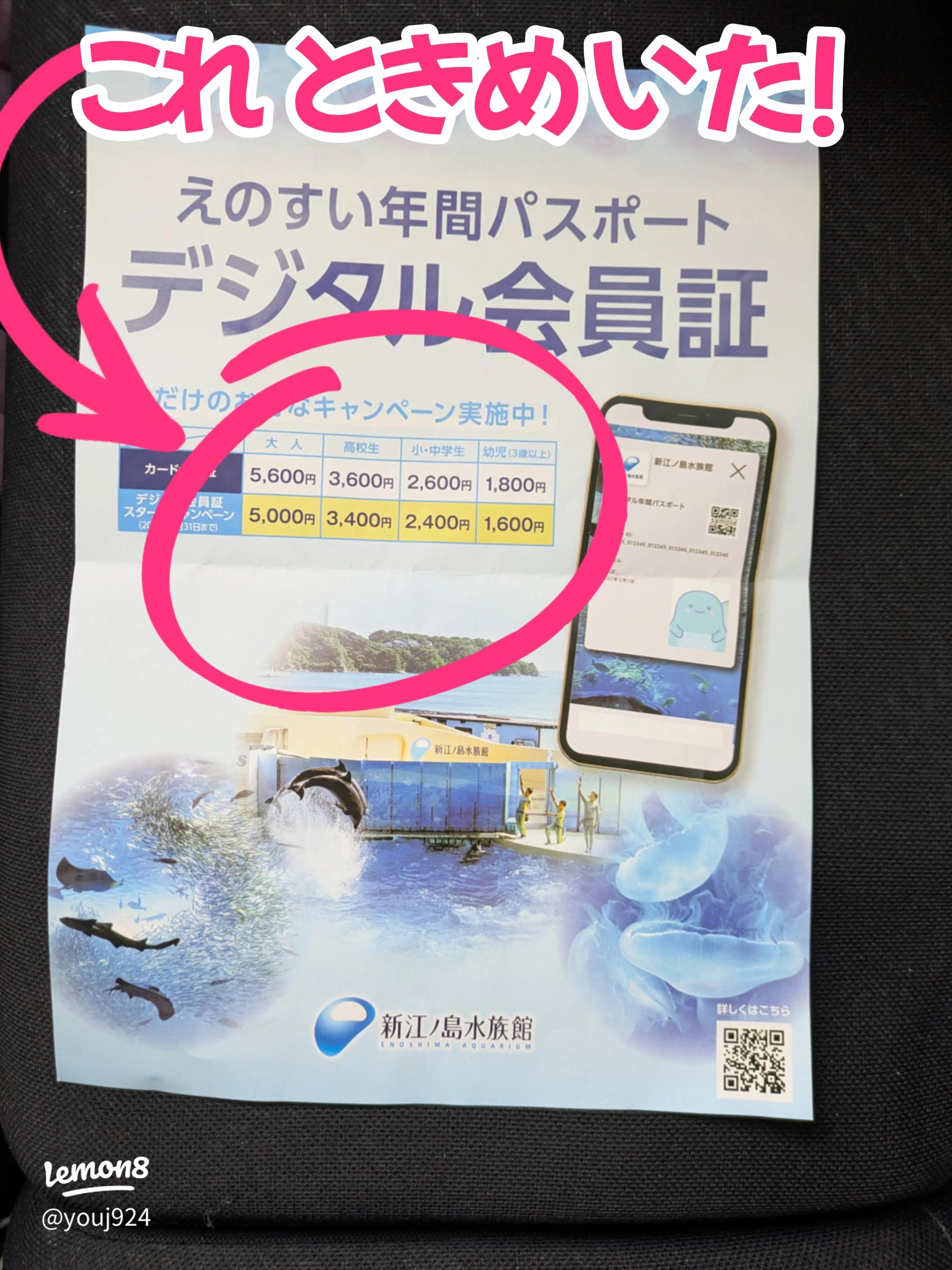 新江ノ島水族館の年間パスポートで入場料を賢く節約する方法