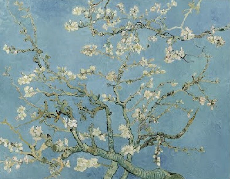 ゴッホ『花咲くアーモンドの木の枝』 - 小さな美術館 note