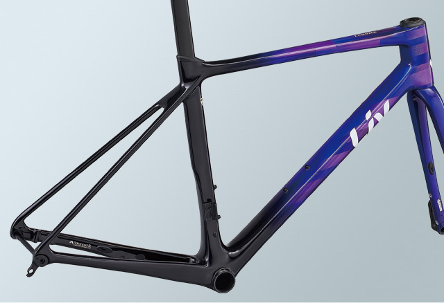 2023 Liv Cycling | LANGMA ADVANCED SL DISC TEAM FRAME SET (New 2024)