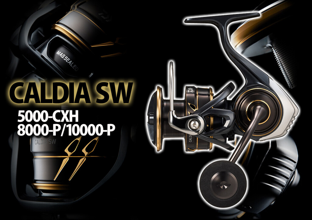 Daiwa カルディア14000Hジギング キャスティング 打ち込み 青物 Daiwa