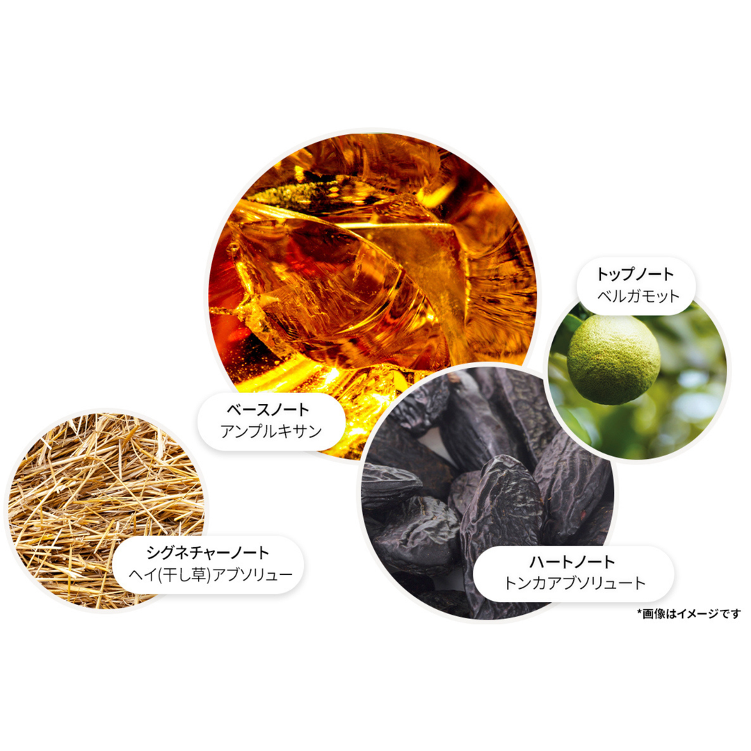 ネオンアンバー オードパルファン 100ml – MOLTON BROWN