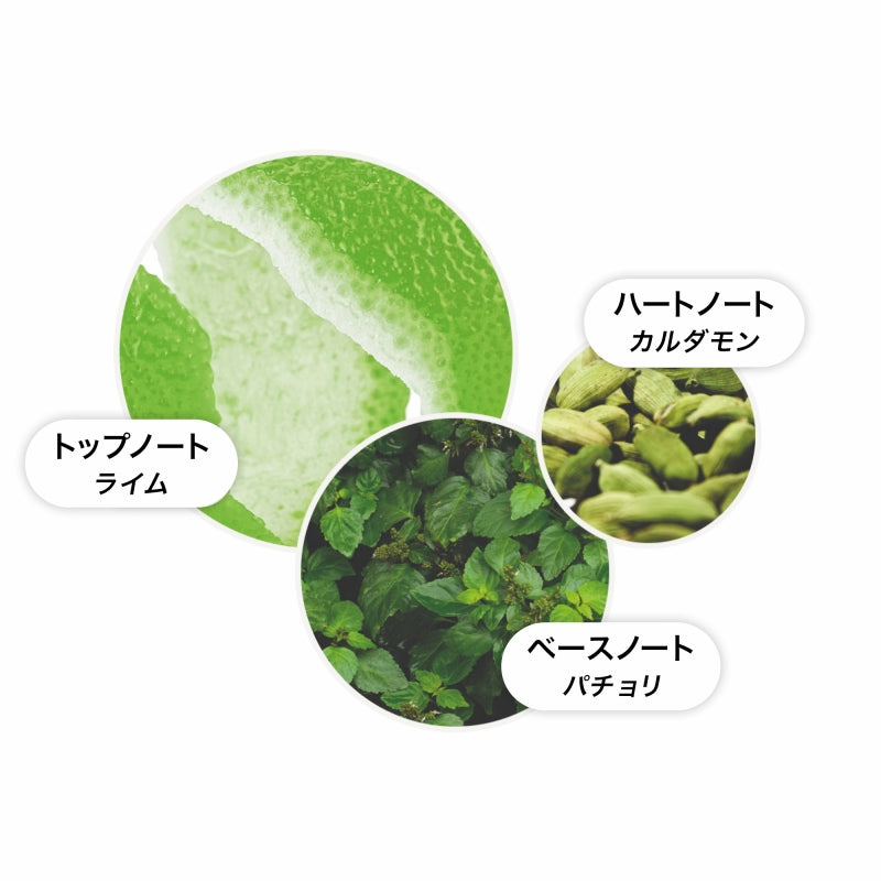 ライム＆パチョリ ハンドウォッシュ 300ml – MOLTON BROWN