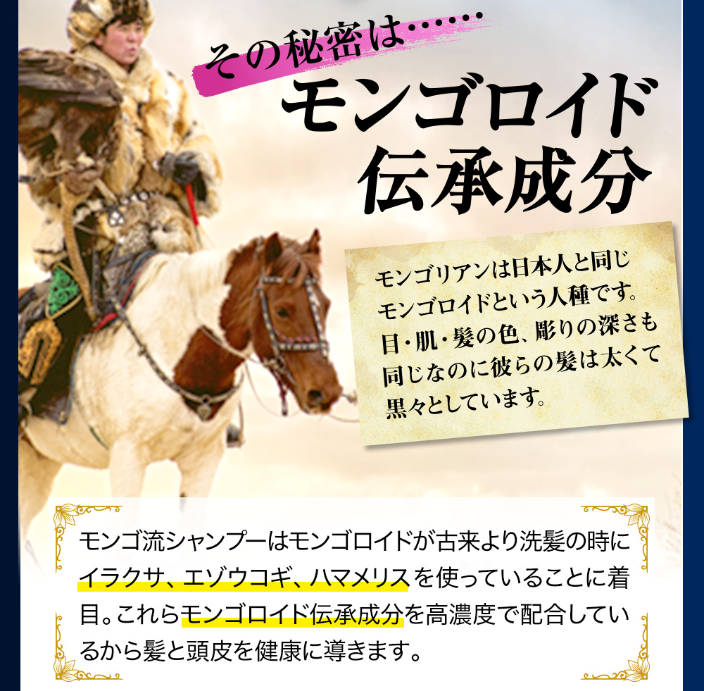 リニューアル新発売】 モンゴ流 シャンプーEX vol.17 | スカルプ