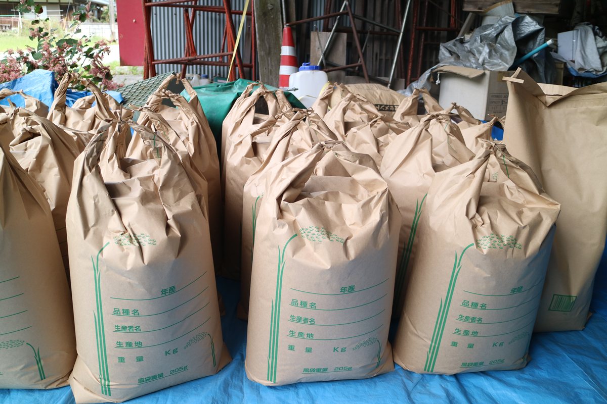 rice_image20250630.jpg
