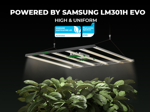 Black Friday Sale - FC4800 EVO Samsung 480W | Mars Hydro| 2025