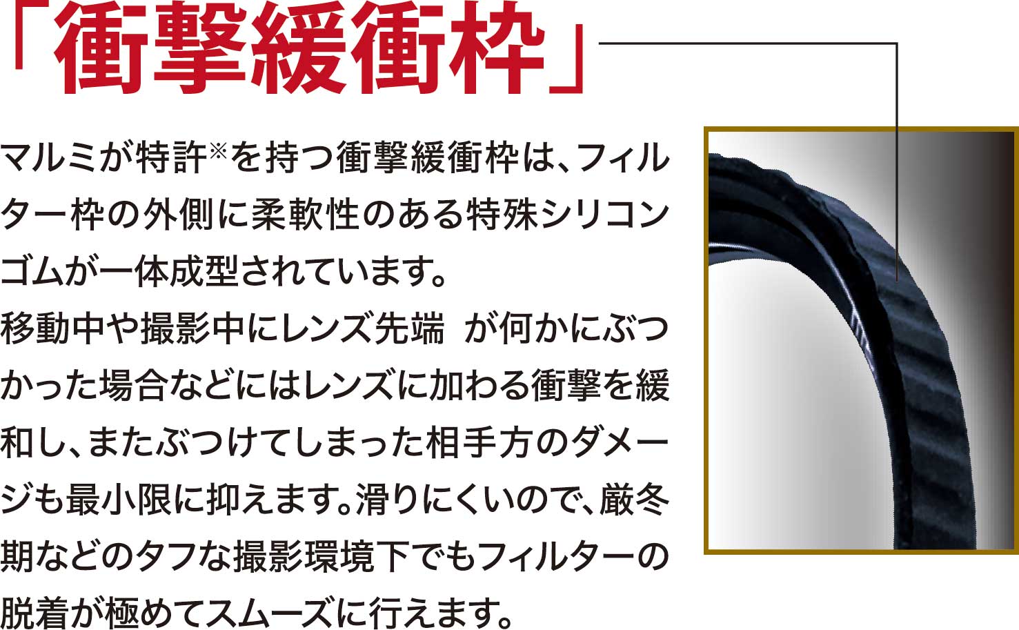 3月25日(金) 数量限定！70周年記念モデルEXUS Lens Protect TOUGHNESS