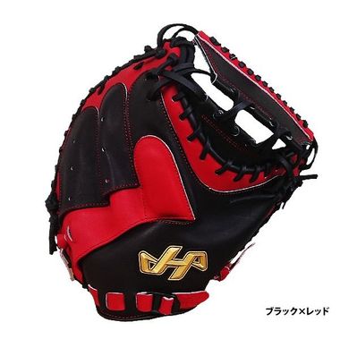 hatakeyama-th-sh19s.jpg